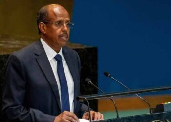Djibouti’s international minister elected to high African Union publish 