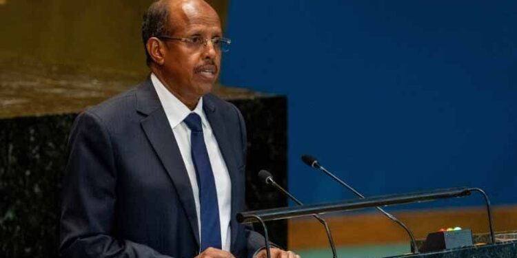 Djibouti’s international minister elected to high African Union publish 