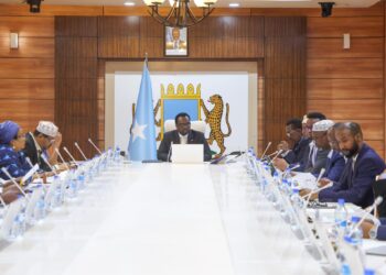Somalia’s cupboard endorses offers deal Azerbaijan on Schooling, Coaching, and Power