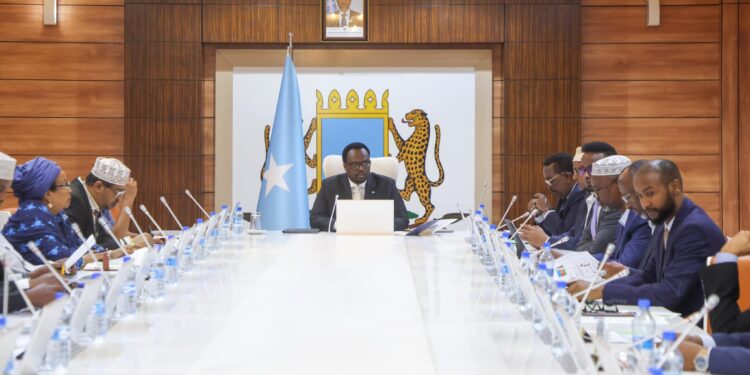Somalia’s cupboard endorses offers deal Azerbaijan on Schooling, Coaching, and Power