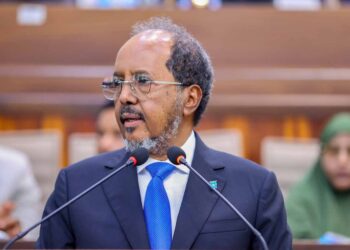 Somalia’s president says will set up job drive supporting Puntland’s warfare on ISIS 
