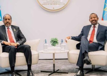 Ethiopia and Somalia restart talks on Ankara settlement implementation 