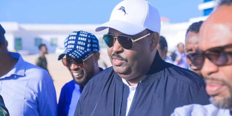 Over 100 ISIS suicide drones shot down by Puntland troops, says regional president 
