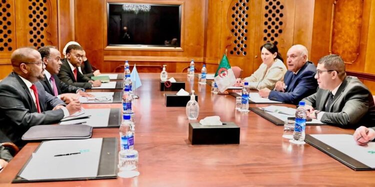 Somalia, Algeria discover new horizons for partnership – Somali Nationwide Information Company