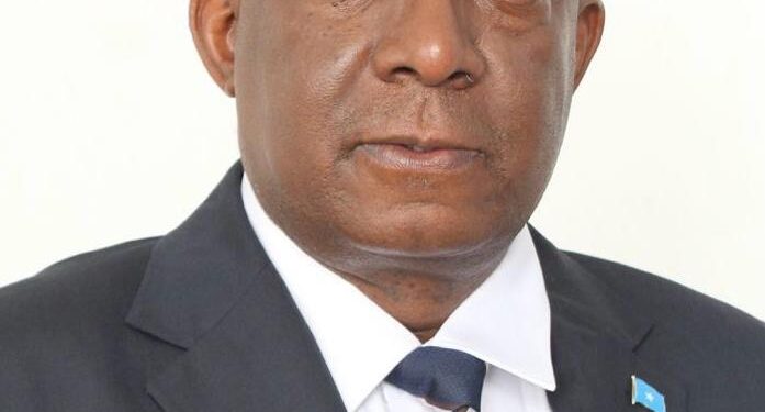 Document-Breaking Battle on Terror Re-ignites Hope for Peace and Safety in Somalia – Somali Nationwide Information Company