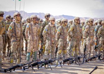 Wararkii u danbeeyay ee Hawlgalka xooggan ee Saaka Ciidamada Puntland ka wadaan Cal-miskaad – Puntland Put up
