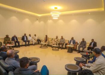 Madaxweyne Deni oo qaabiley wefdi ka socday Galmudug oo garab istaag u muujiyay ciidamada Puntland – Puntland Submit