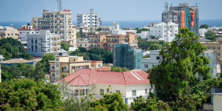 Somalia’s Safety Progress. Rising Above the World Peace Index Backside – Somali Nationwide Information Company