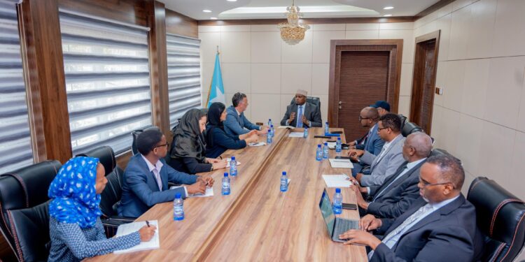Minister of Planning meets a delegation from Switzerland – Somali Nationwide Information Company