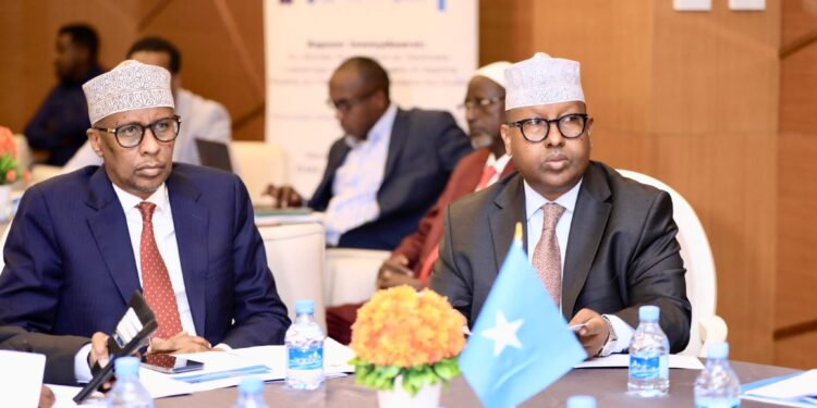 FM Fiqi Highlights Safety Dangers of Mismanaged Transboundary Water Sources – Somali Nationwide Information Company
