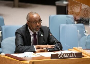 Somalia Clears Excellent Dues to the UN After 35 Years, Regains Voting Rights 