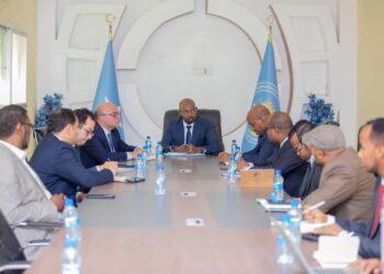 Somalia, Egypt forge nearer ties by strengthening judicial cooperation – Somali Nationwide Information Company