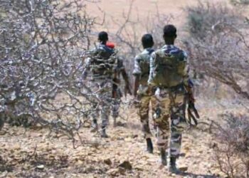 Somali Forces Working to Safe Areas Hit by Main Al-Shabaab Assault