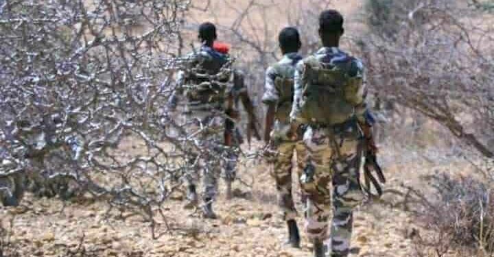 Somali Forces Working to Safe Areas Hit by Main Al-Shabaab Assault
