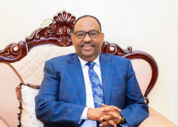 Madaxweyne Deni oo gebi ahaanba Puntland ka mamnuucay Ajaanibta Sharci la’aanta ah – Puntland Put up