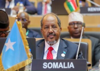 President Hassan Sheikh Attends thirty eighth African Union Summit in Addis Ababa – Somali Nationwide Information Company