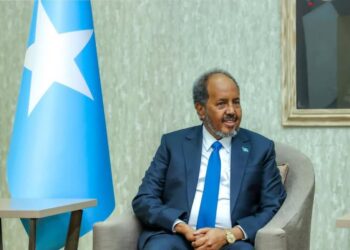 Somali President Meets UAE Diplomat to Strengthen Bilateral Ties
