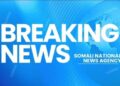 Somali Nationwide Military Launches Large Operation Towards Khawarij in Center Shabelle Area – Somali Nationwide Information Company