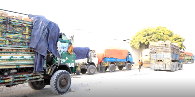 SoDMA Delivers Emergency Assist to Displaced Communities in Nuur-dugle and Aqab-duco, Hirshabelle – Somali Nationwide Information Company