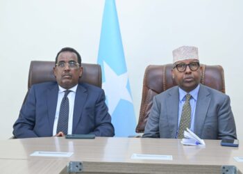 Somali FM Discusses New Civil Registry Service with Inside Minister – Somali Nationwide Information Company