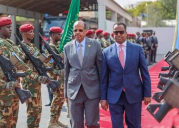 Second Deputy Prime Minister Bids Farewell to African Union Chairperson – Somali Nationwide Information Company