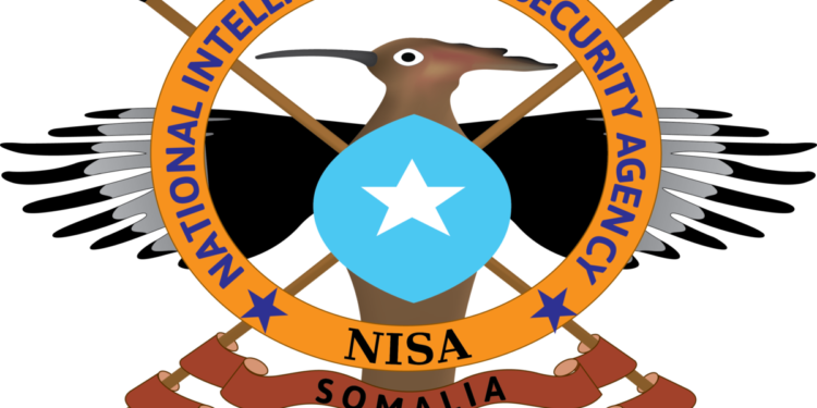 NISA Airstrike Eliminates Key Kharijite Leaders in Decrease Shabelle – Somali Nationwide Information Company