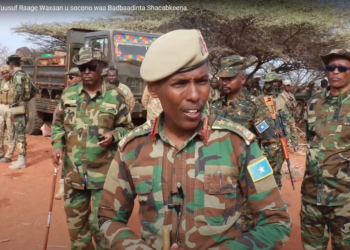 Heavy Airstrikes Cripple Al-Shabaab in Center Shabelle as Somali Forces Intensify Counter-Offensive – Somali Nationwide Information Company