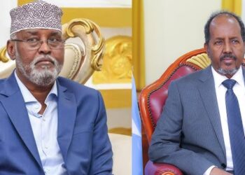 Dowladda Xasan Sheekh waa shirkad ku shaqaysa Caqliyaddii Qabiilka ee 1991 – Puntland Put up