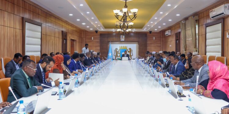 Somali Cupboard Praises Army Beneficial properties In opposition to Al-Shabab, Approves Visa-Free Deal With Egypt
