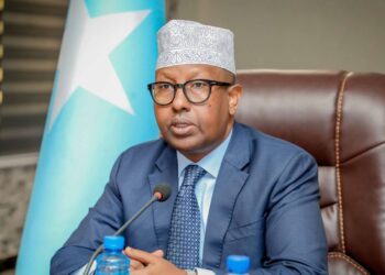 Somalia’s FM anticipated to be named defence minister in restricted cupboard reshuffle 