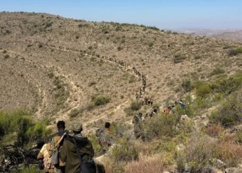Ciidamada Puntland oo saaka la wareegay inta badan difaacyadii kooxda ISIS kaga jirtay Miraale – Puntland Put up