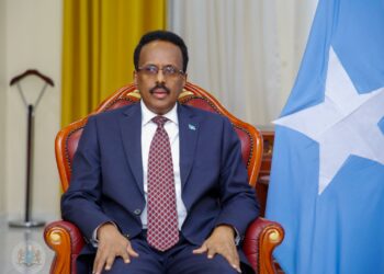 Former Somalia President Backs His Successor’s Name for Nationwide Dialogue