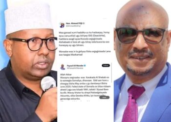 Somalia International Minister Lashes Out at Professional-Al-Shabaab Tweet by Finnish-Somali Politician in Hargeisa – Puntland Publish